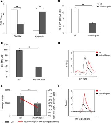 Exogenous miRNAs from Moringa oleifera Lam. recover a dysregulated lipid metabolism